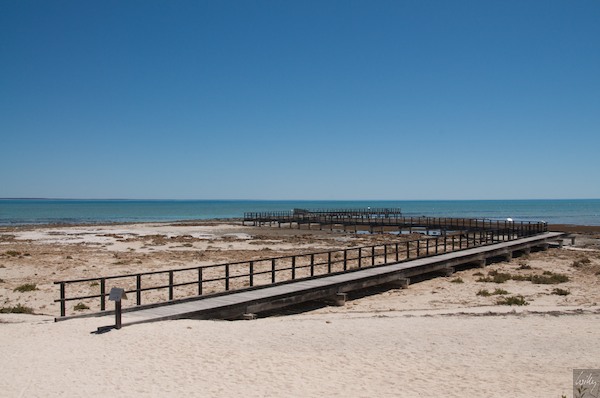 AustraliaPerth 10  101